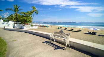 Playa Miramar mettant en vedette vues littorales et plage de sable