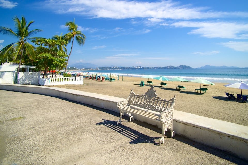 A beach with a bench, umbrellas, and palm trees.
