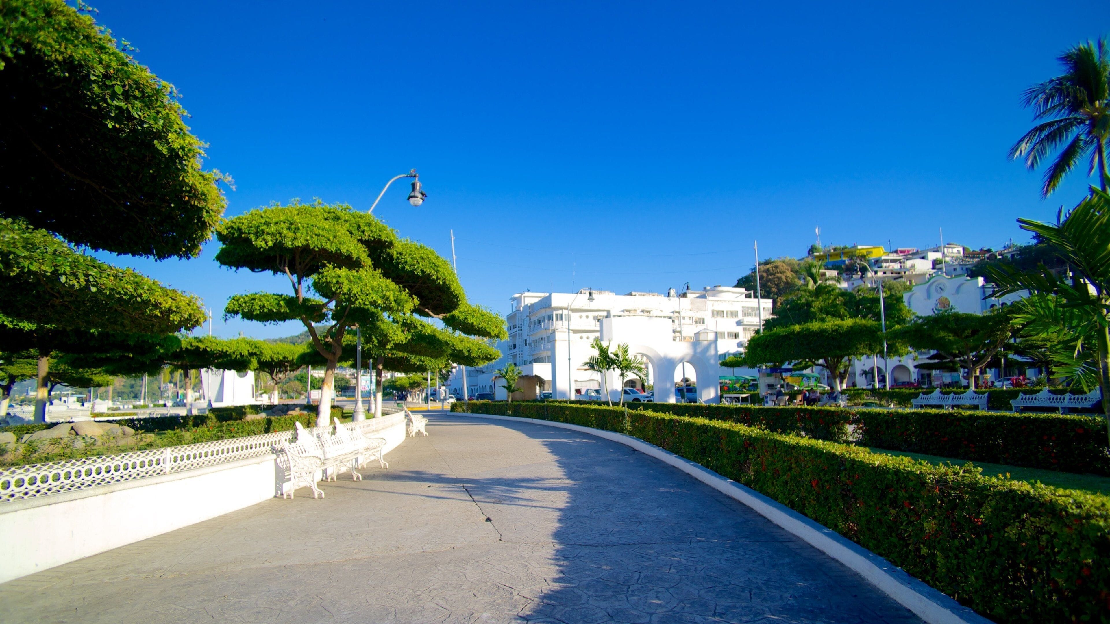 소칼로 을 보여주는 정원