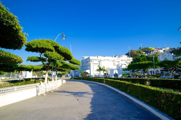 Zocalo ofreciendo un jardín