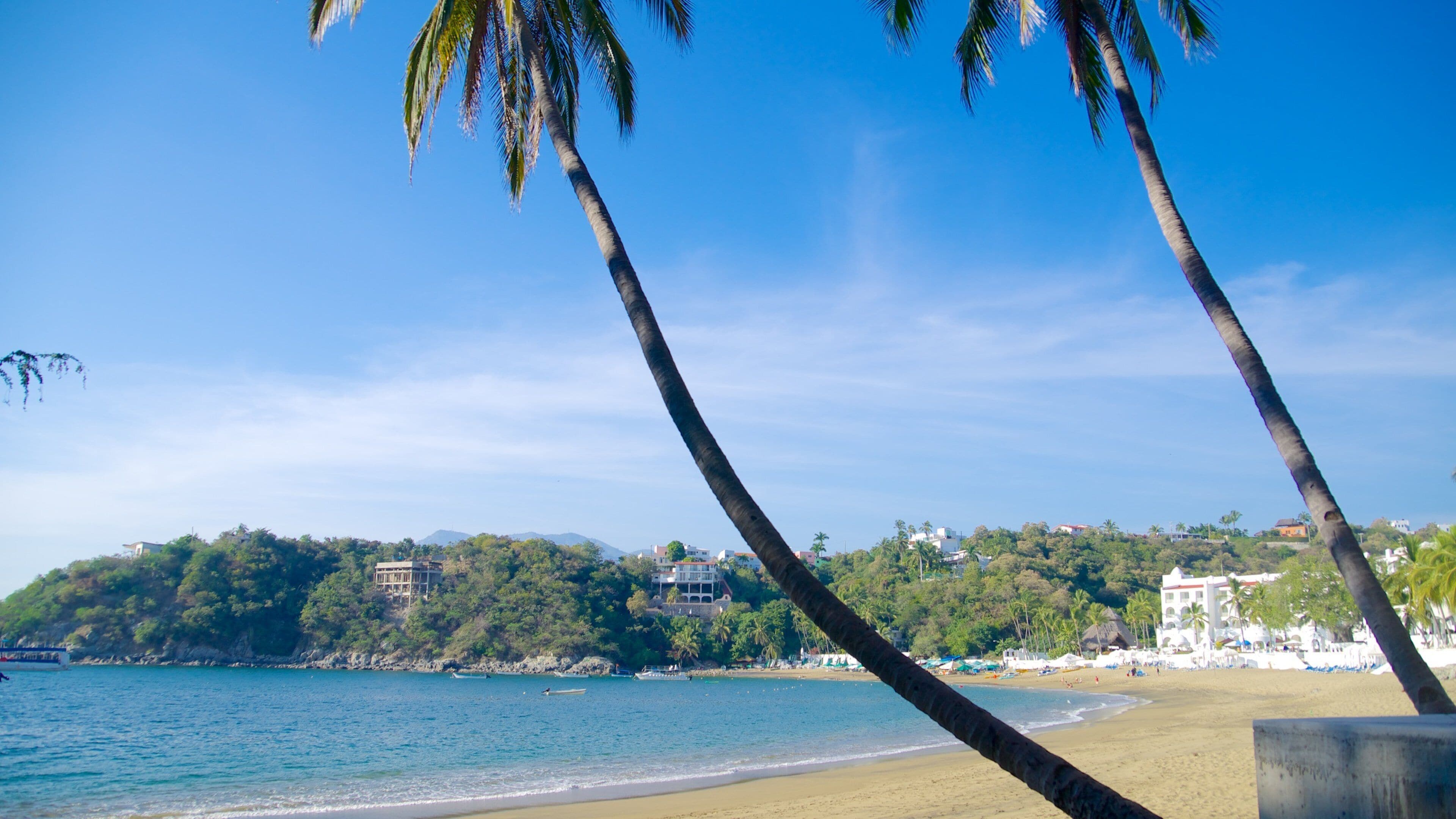 Playa La Audiencia mostrando cenas tropicais e uma praia de areia