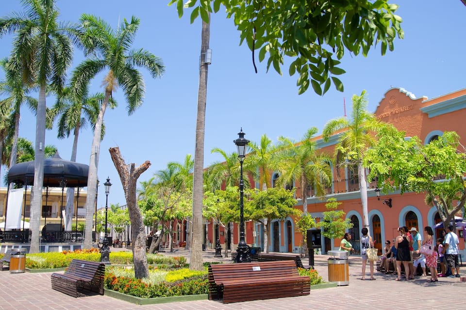 Una piazza con palme, panchine e un edificio con finestre ad arco.