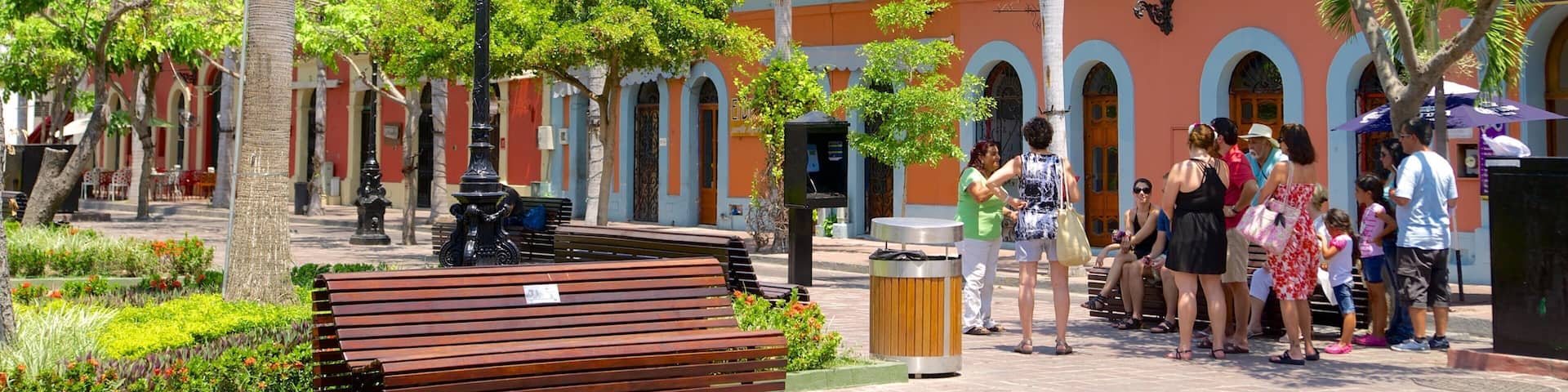 Plaza Machado mostrando un parque y un parque o plaza y también un pequeño grupo de personas