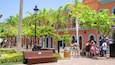 A plaza with benches, palm trees, and a building with arches.
