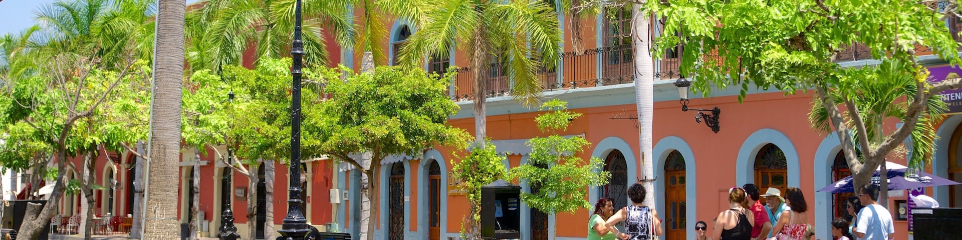 Plaza Machado showing a square or plaza and a garden as well as a small group of people