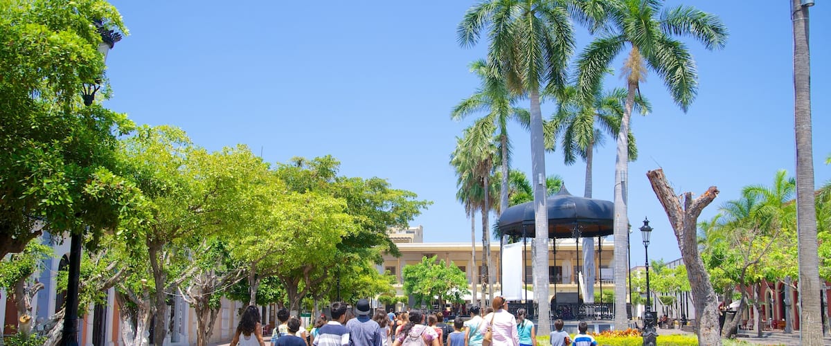 Plaza Machado que incluye un jardín y una plaza y también un grupo grande de personas