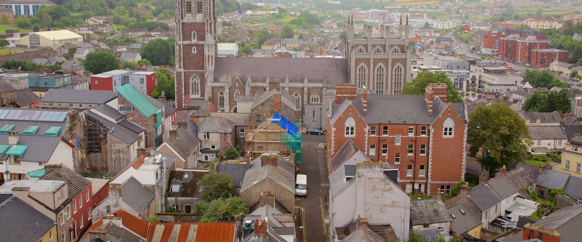 St. Anne\'s Shandon Church que incluye una ciudad