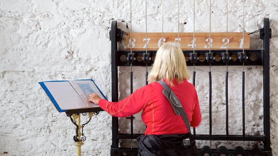 St. Anne\'s Shandon Church featuring interior views, heritage elements and an administrative buidling