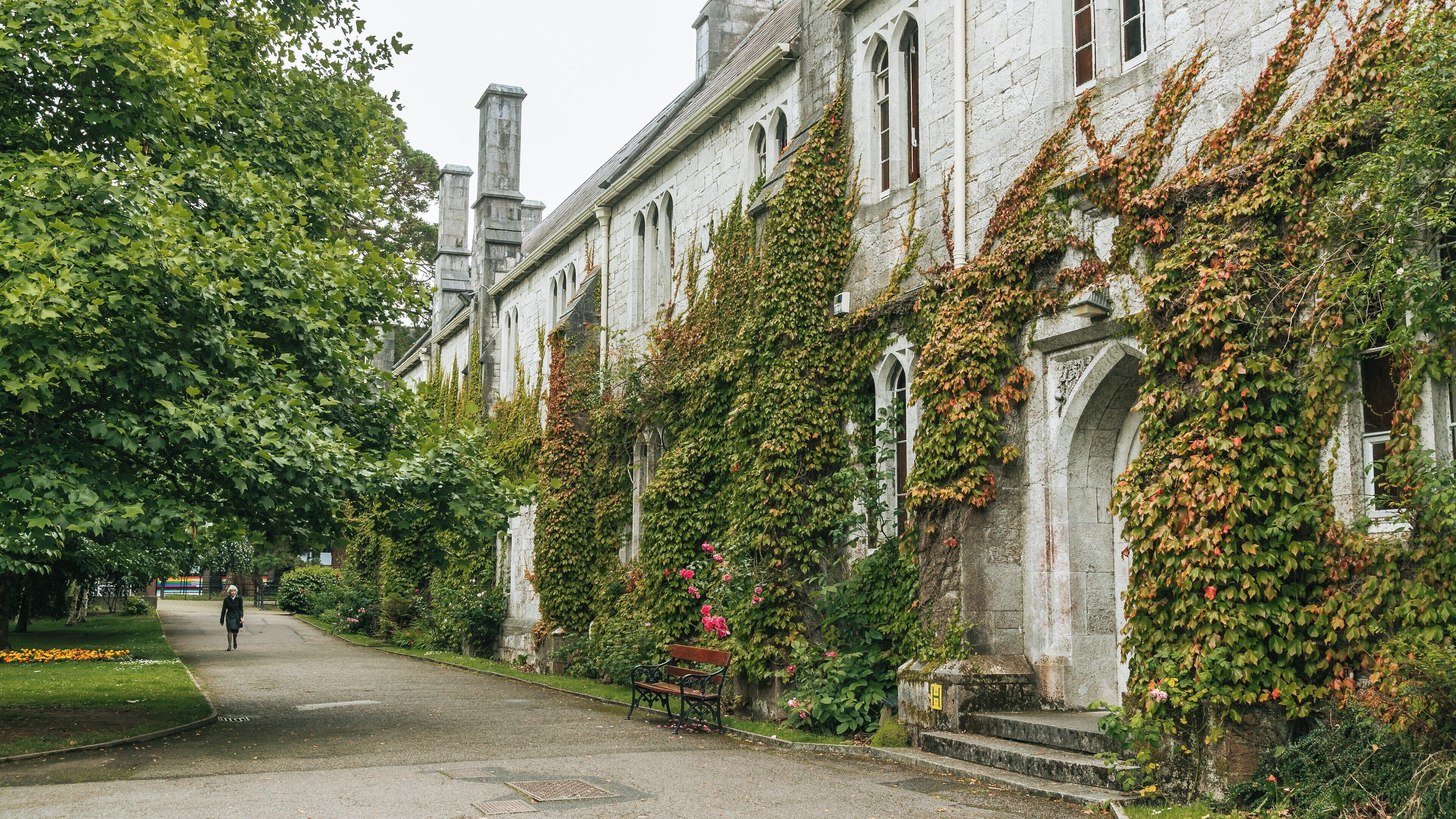 Stunning natural scenery at University College Cork showcasing historic architecture and vibrant greenery during a tranquil afternoon stroll in Cork, County Cork, Ireland