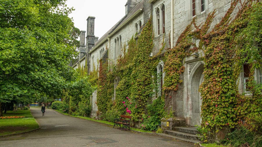 University College Cork which includes heritage architecture