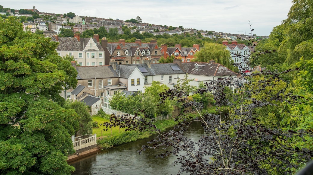 University College Cork showing a river or creek and a small town or village