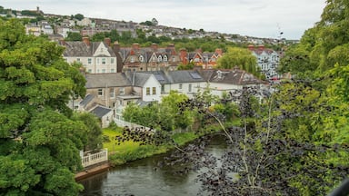 University College Cork showing a river or creek and a small town or village