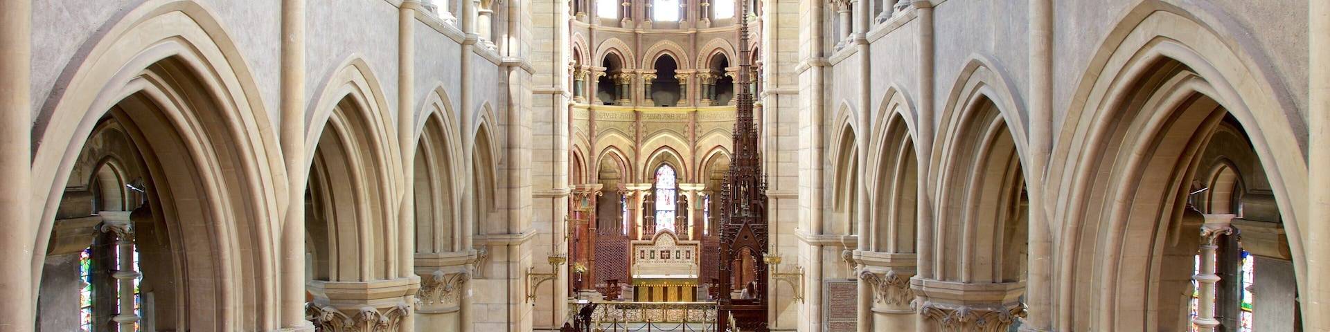 St. Finbarr\'s Cathedral which includes a church or cathedral, interior views and heritage elements