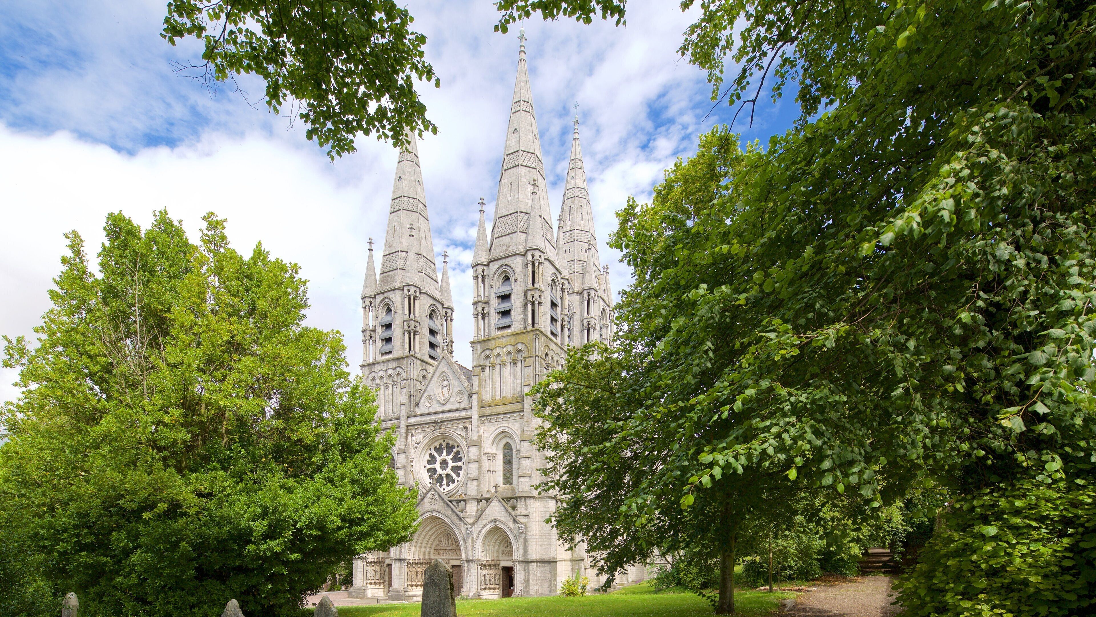 St. Finbarr\'s Cathedral showing heritage architecture, religious elements and a church or cathedral