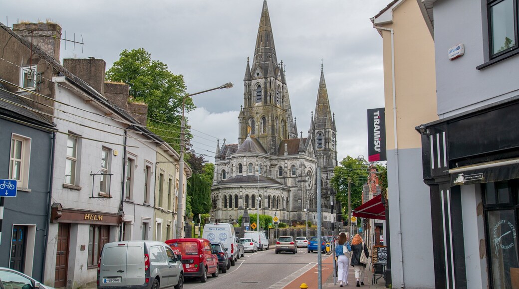 Saint Fin Barre\'s Cathedral featuring heritage architecture and a church or cathedral
