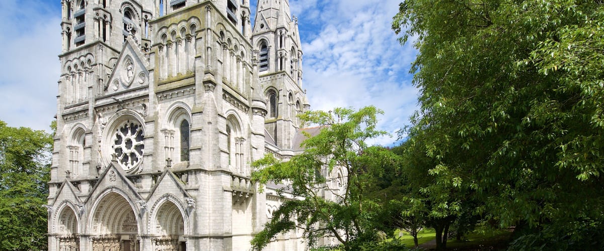 Saint Fin Barre\'s Cathedral