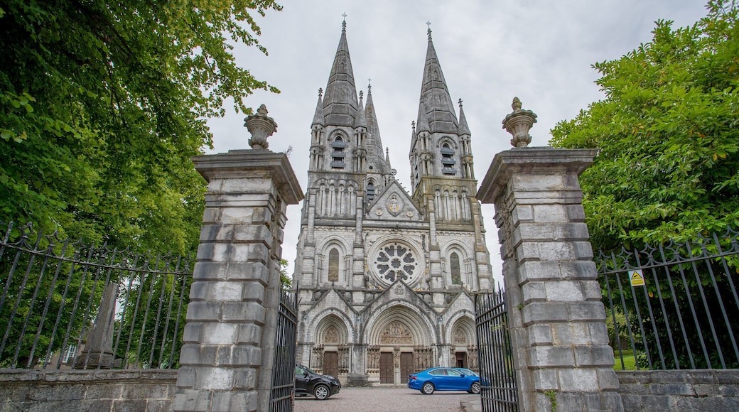 Saint Fin Barre\'s Cathedral which includes heritage architecture and a church or cathedral