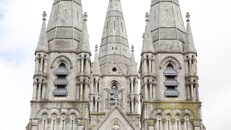 St. Finbarr\'s Cathedral showing religious elements, a church or cathedral and heritage elements