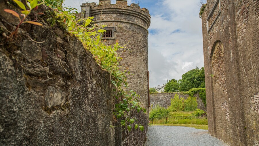 Cork City Gaol featuring heritage architecture