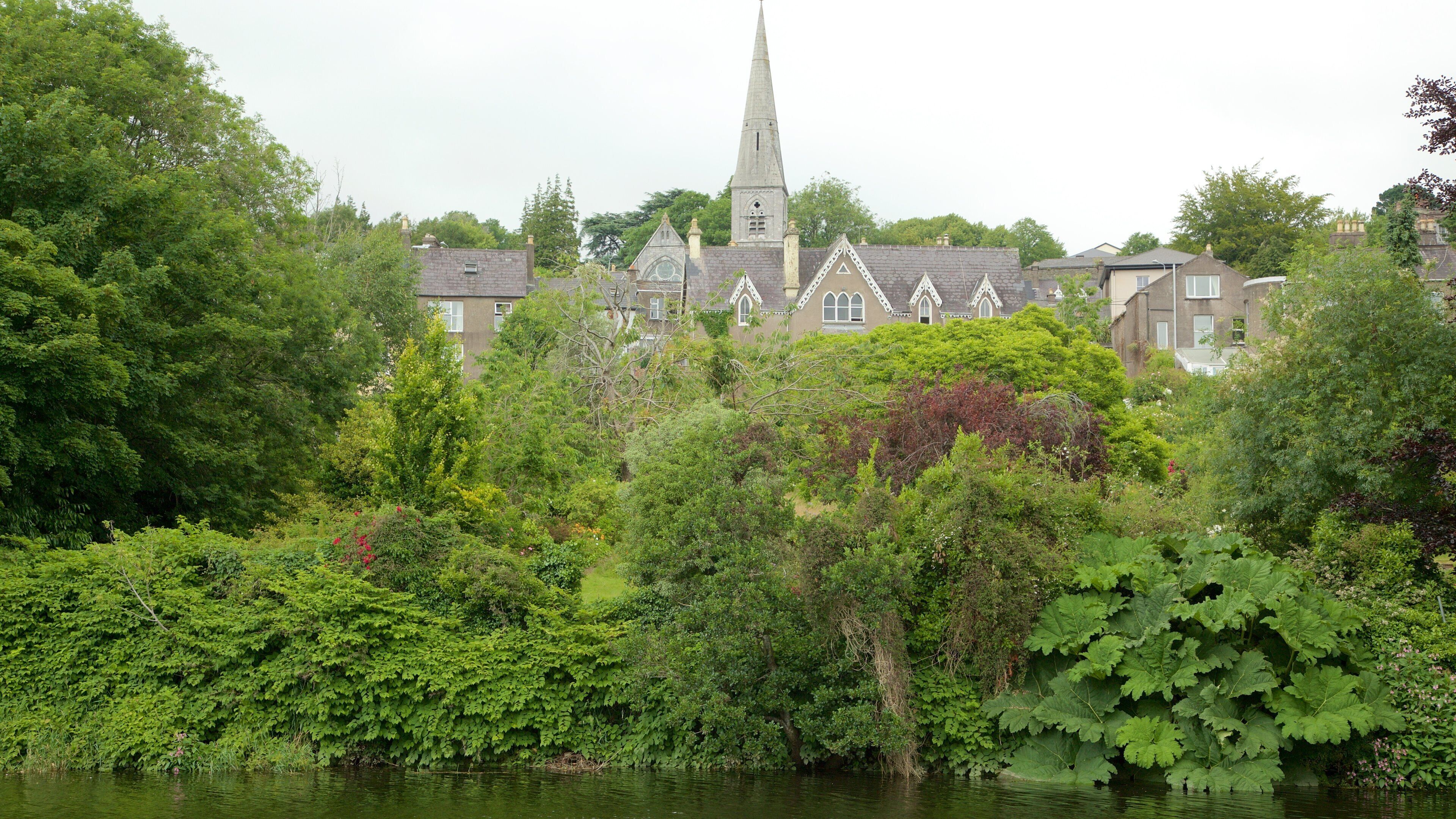 Fitzgerald Park showing a park, a river or creek and heritage architecture