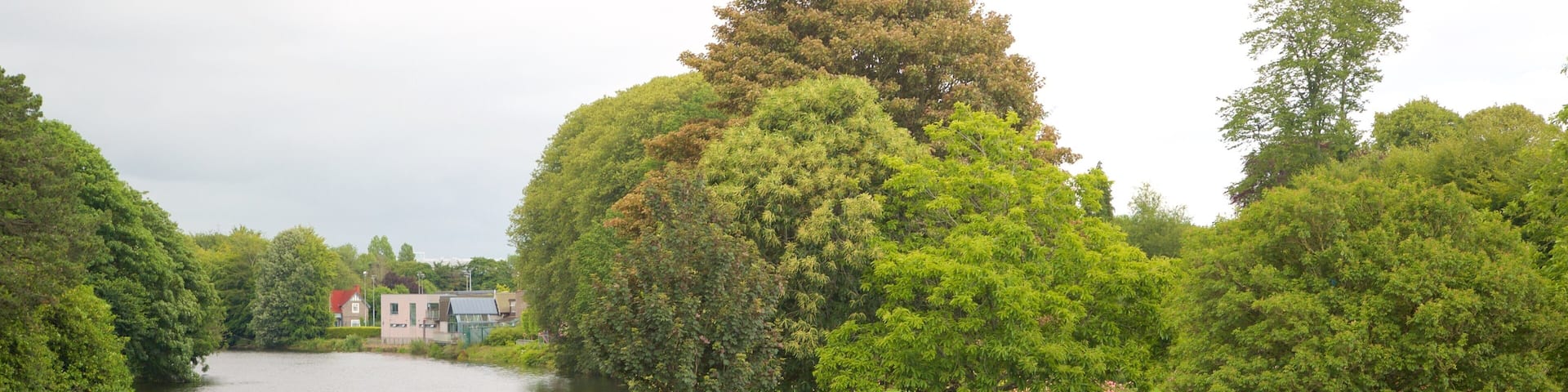 Fitzgerald Park which includes a park and a river or creek