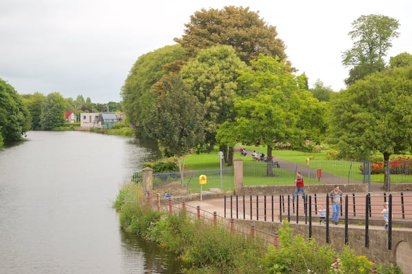 Fitzgerald Park qui includes jardin et riviĂšre ou ruisseau