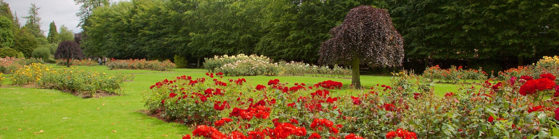 Fitzgerald Park featuring a garden, flowers and a fountain