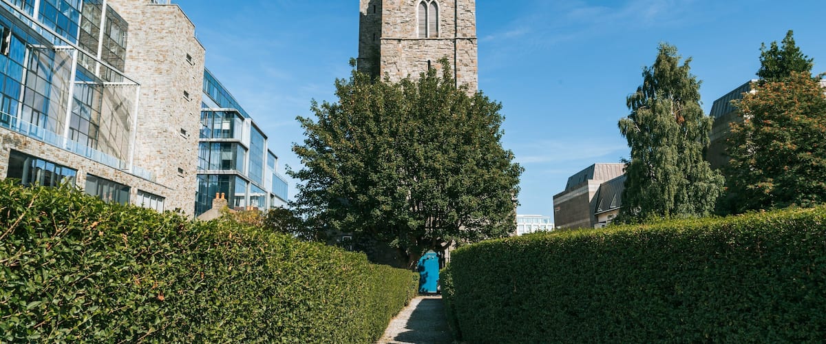 St. Michan\'s Church showing a park and heritage architecture