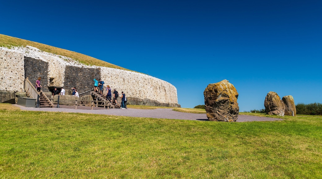 Newgrange showing heritage elements