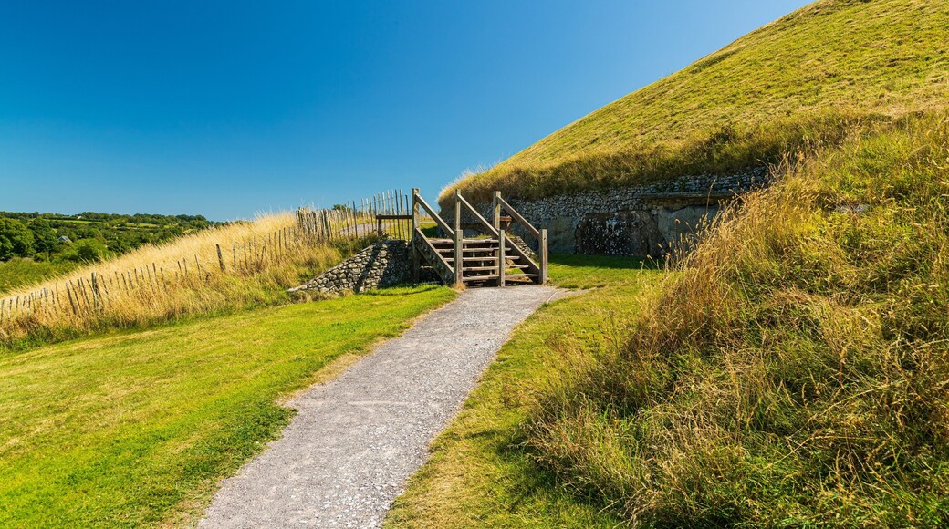 Newgrange which includes tranquil scenes