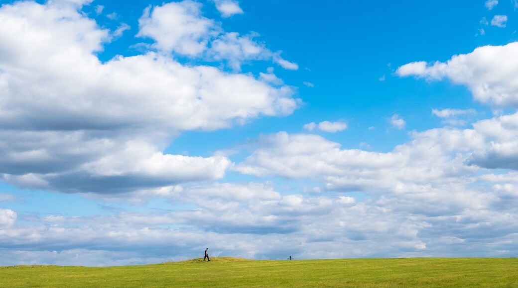 Archeological complex on the hilltop with a number of monuments. Traditionally considered the seat of the High King of Ireland.
The site is actually huge and you can easily spend an hour walking through the fields. If you have a drone this is a place you’ll want to use it since many of the features will be more visible from a higher viewpoint !