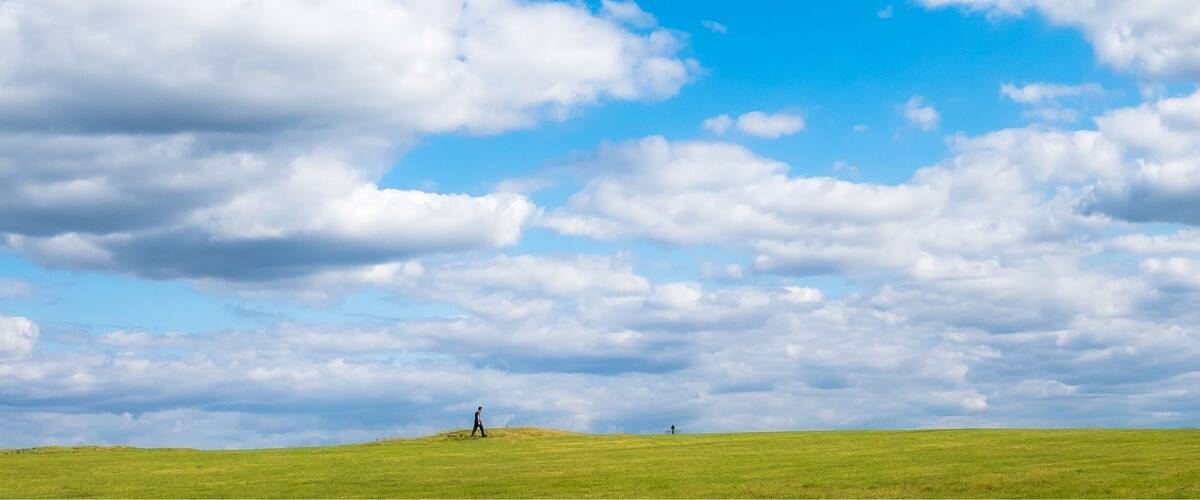 Archeological complex on the hilltop with a number of monuments. Traditionally considered the seat of the High King of Ireland.
The site is actually huge and you can easily spend an hour walking through the fields. If you have a drone this is a place you’ll want to use it since many of the features will be more visible from a higher viewpoint !