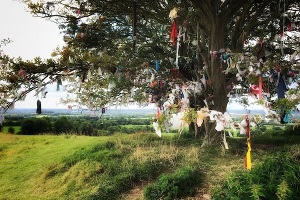 Fairy Tree at Hill of Tara. People still believe!