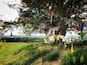 Fairy Tree at Hill of Tara. People still believe!