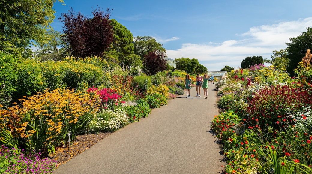 National Botanic Gardens showing a garden and wildflowers as well as a small group of people