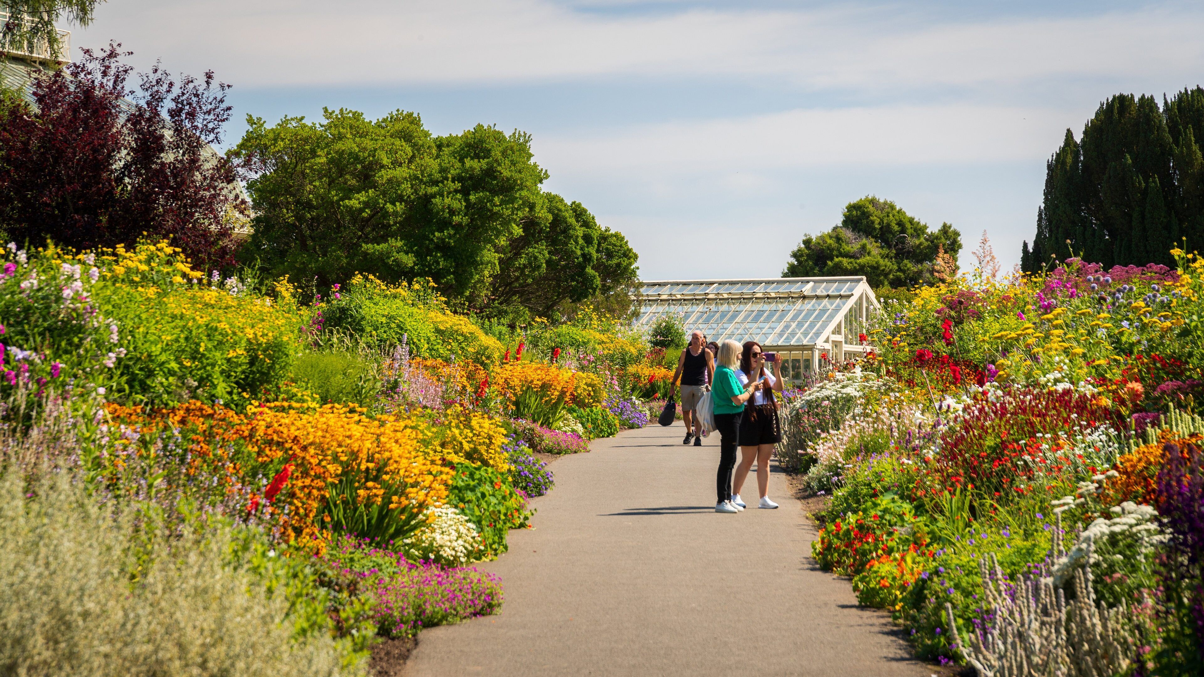 National Botanic Gardens showing a park and wildflowers as well as a couple