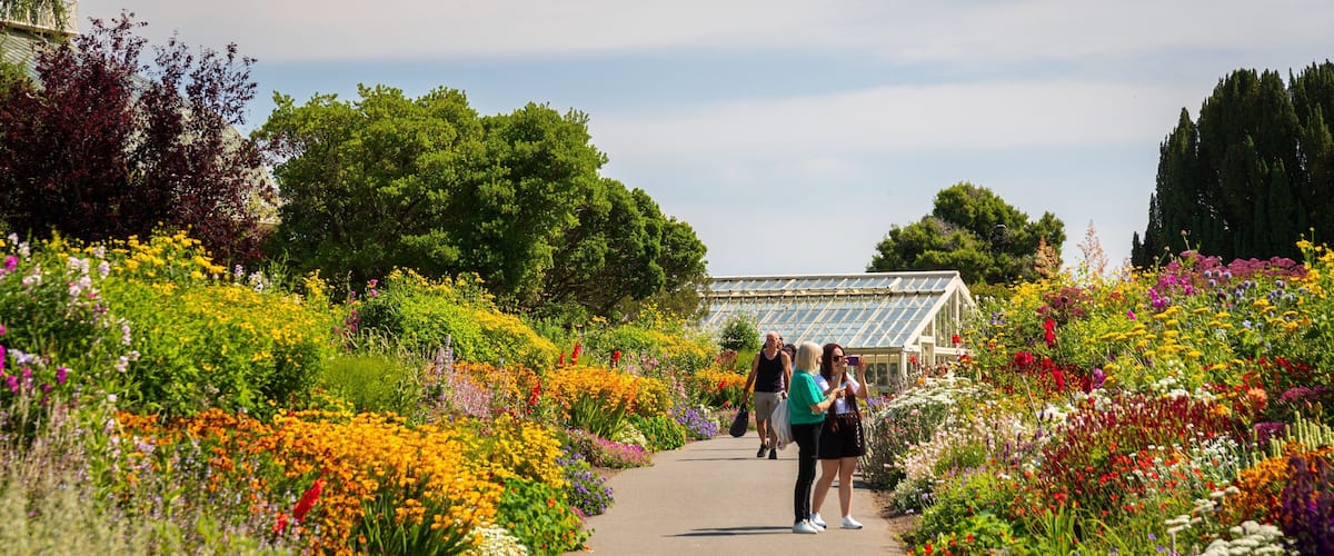 National Botanic Gardens showing a park and wildflowers as well as a couple