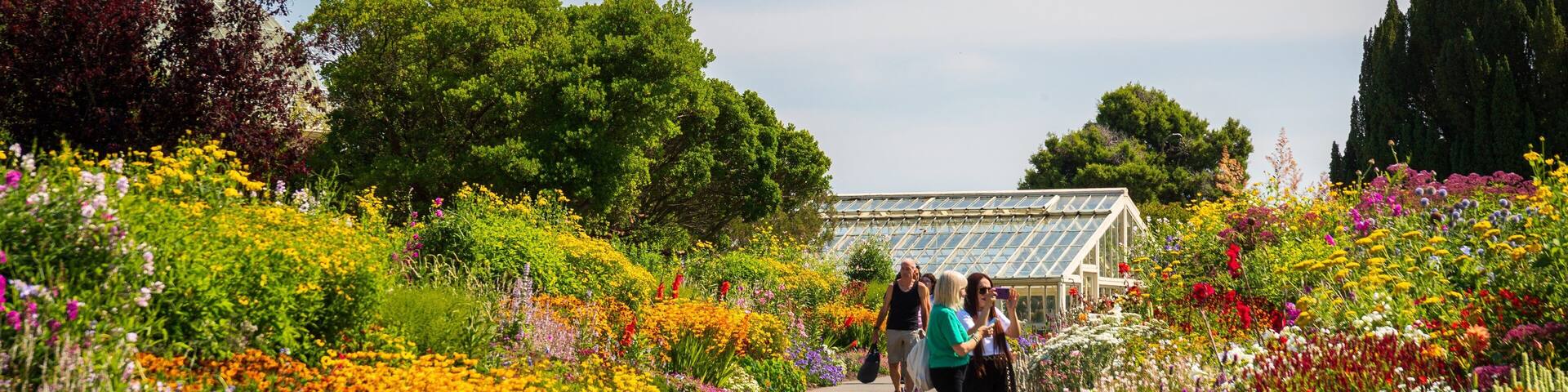 National Botanic Gardens showing a park and wildflowers as well as a couple