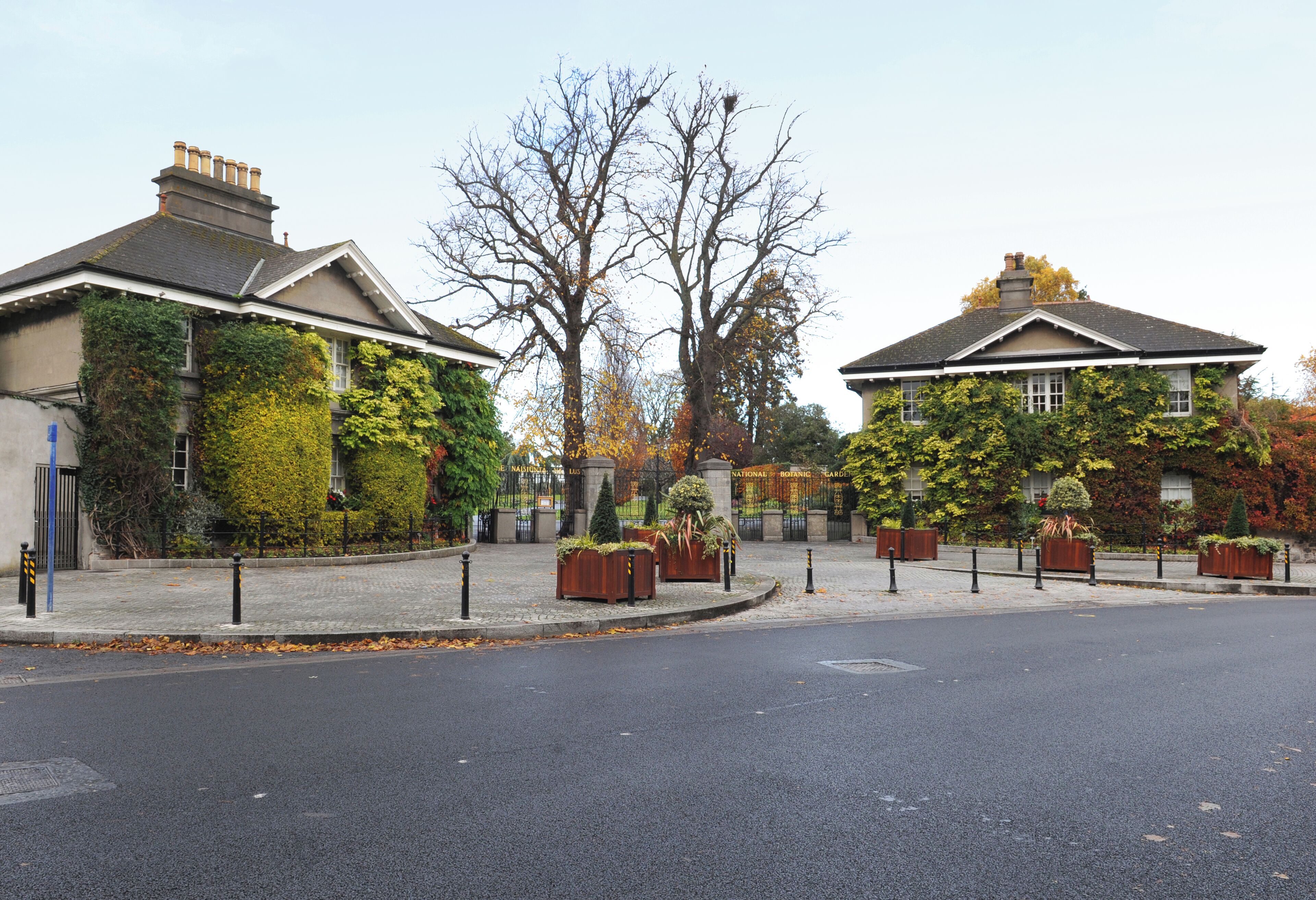 Dublin_NationalBotanicGardens_6075930_01