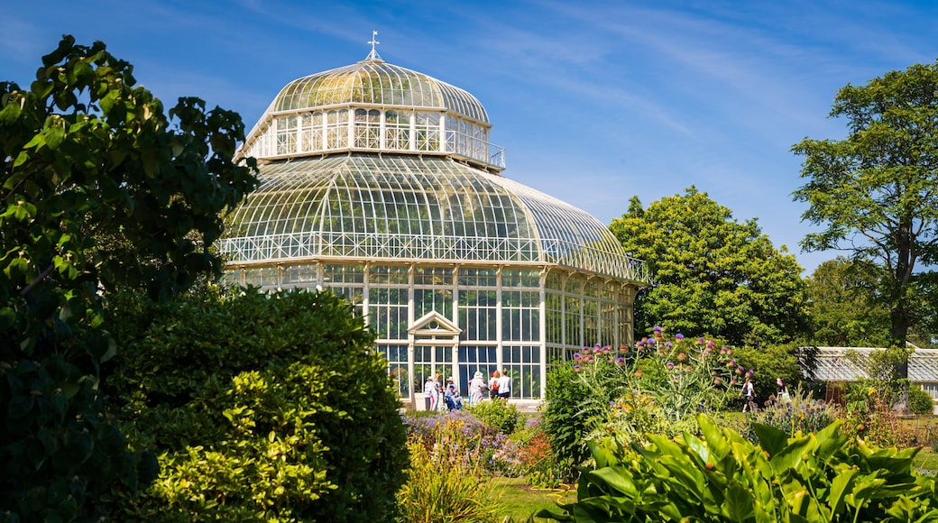 National Botanic Gardens featuring a garden