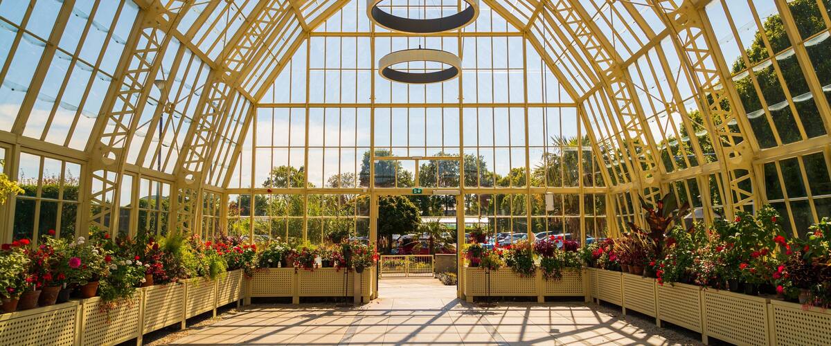 National Botanic Gardens showing flowers, a park and interior views