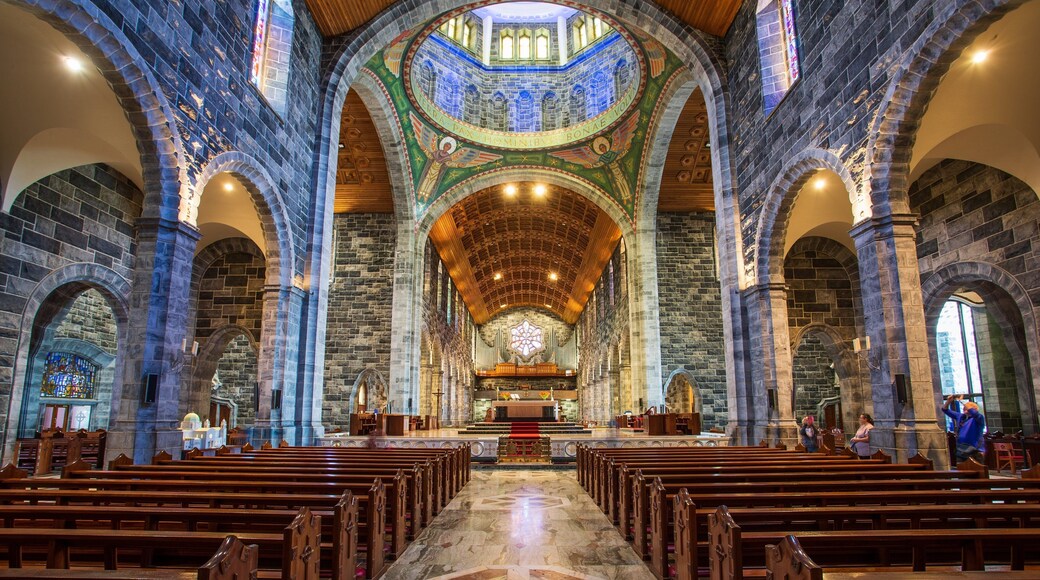 Galway Cathedral showing heritage elements, interior views and a church or cathedral