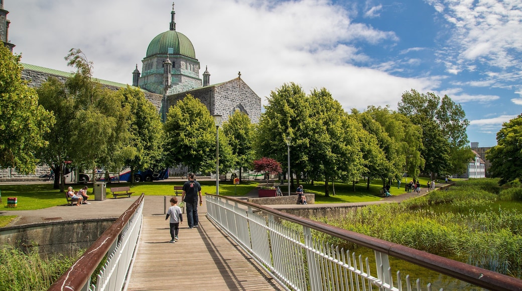 Galway Cathedral showing a garden as well as a family