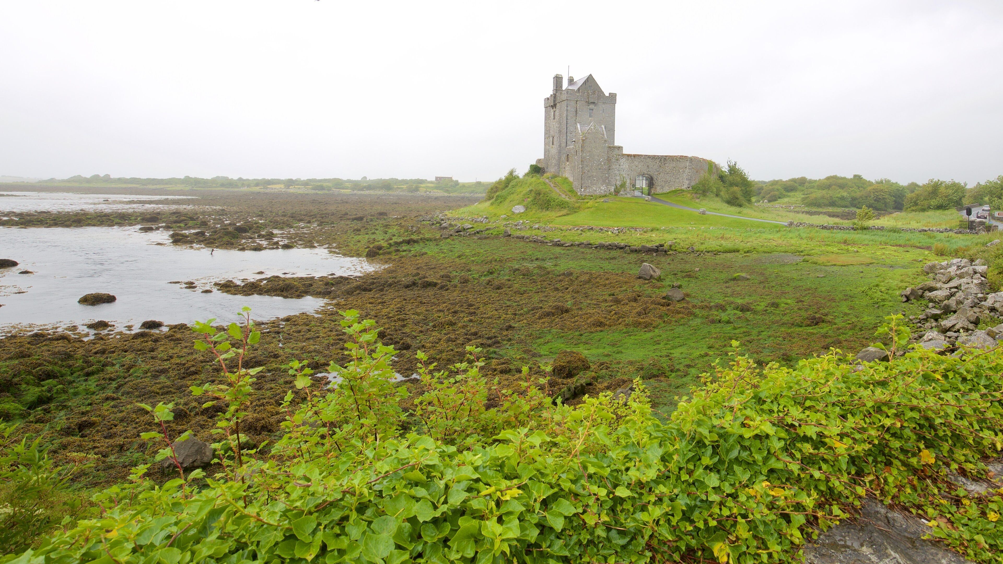 Dunguaire Castle which includes heritage architecture, a river or creek and heritage elements