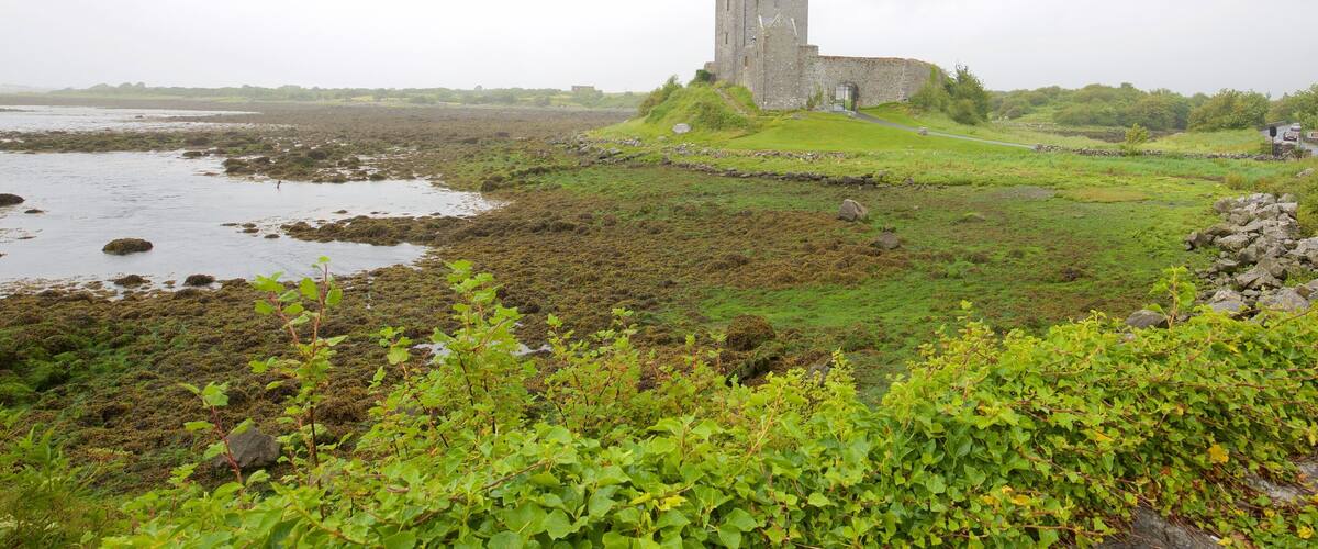 Dunguaire Castle which includes heritage architecture, a river or creek and heritage elements