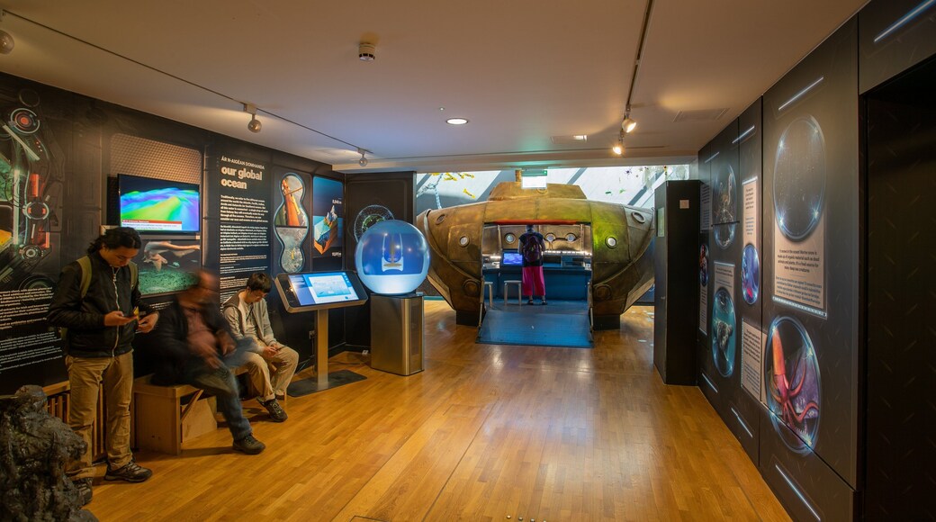 Galway City Museum showing interior views