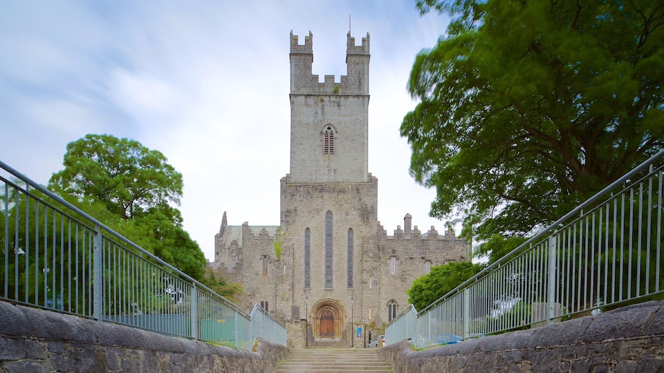 St. Mary\'s Cathedral featuring heritage elements, chateau or palace and heritage architecture