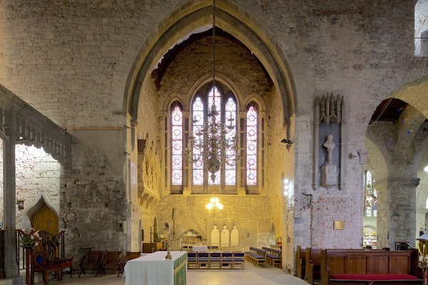 St. Mary\'s Cathedral featuring a church or cathedral, religious aspects and heritage elements