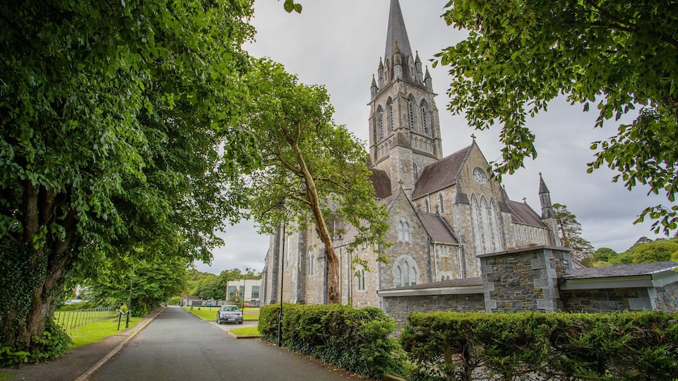 St. Mary\'s Cathedral featuring chateau or palace and heritage architecture