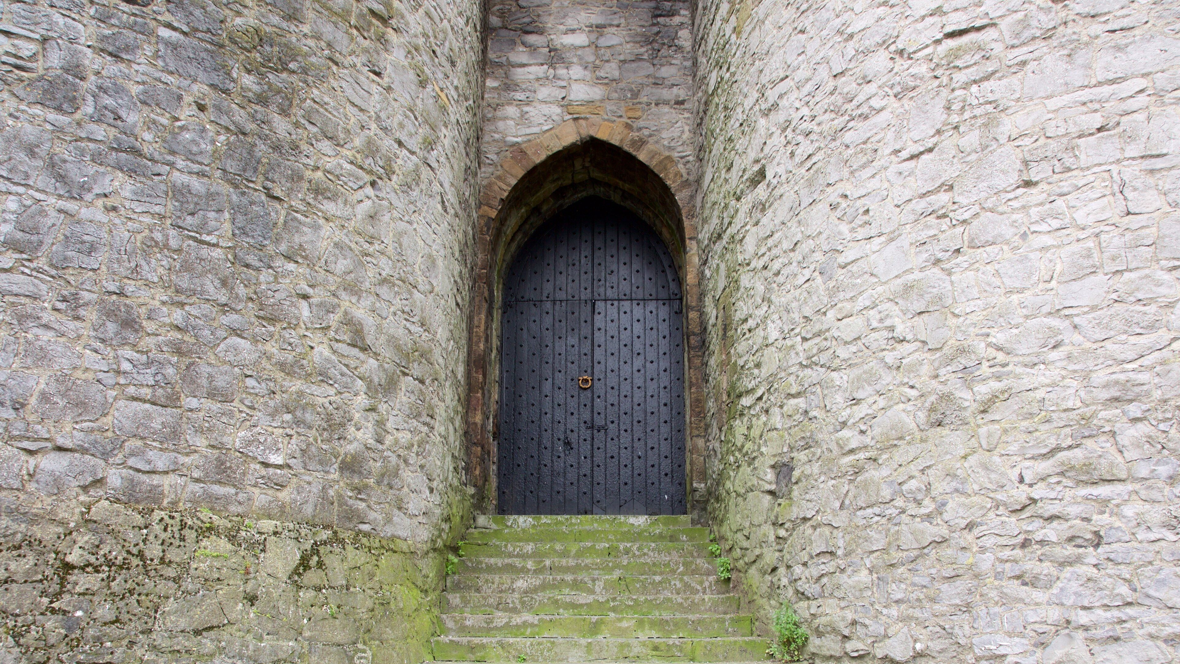 King John\'s Castle which includes a castle, heritage architecture and heritage elements